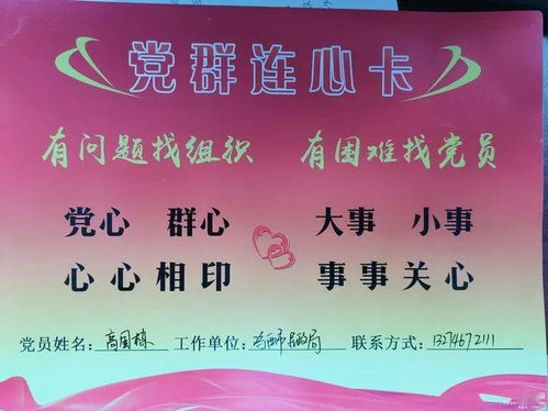 鸡西市民政局驻新福村工作队开展学党史活动纪实及其与职业中介活动的融合实践