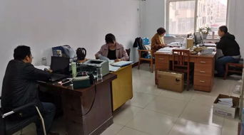 东光县审计局职业中介活动专项审计工作周报（11.09-11.15）